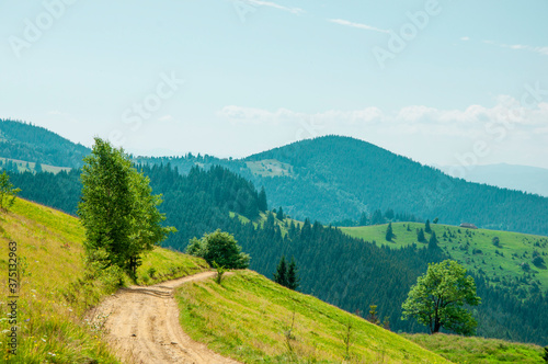 green valley in the mountains. colorful landscape with road