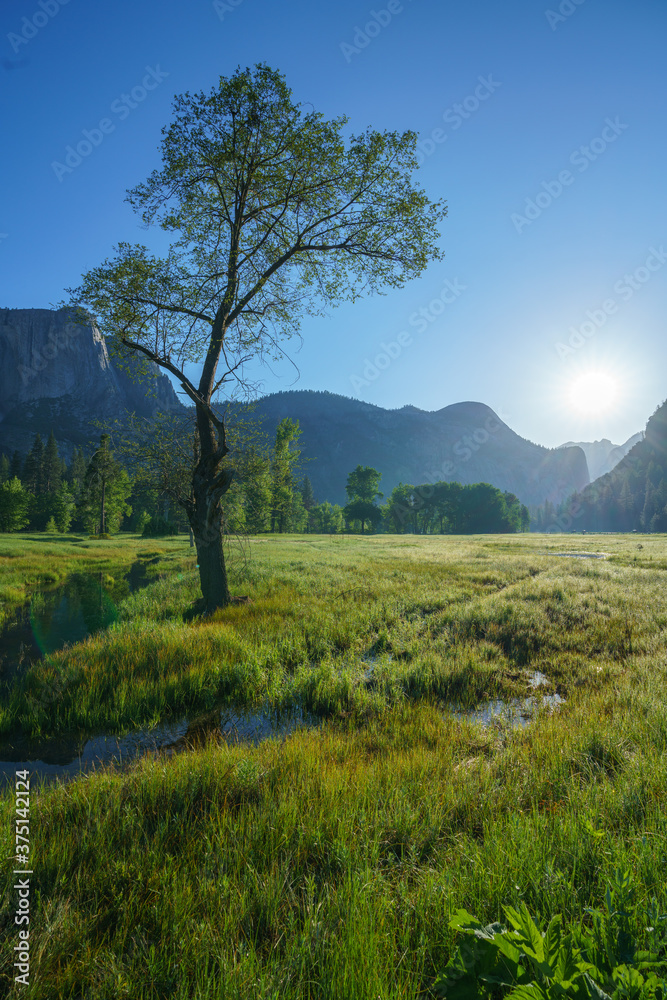 Obraz premium yosemite falls from yosemite valley, california, usa