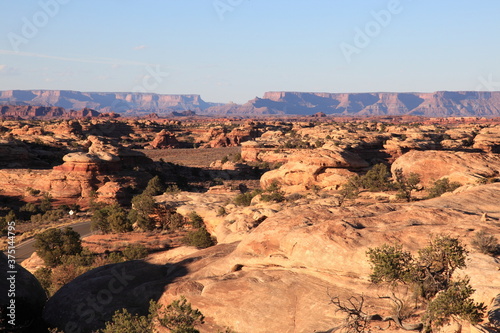 View of The Needles with Rock formations in the Needles District of Canyonlands National Park, Utah, USA