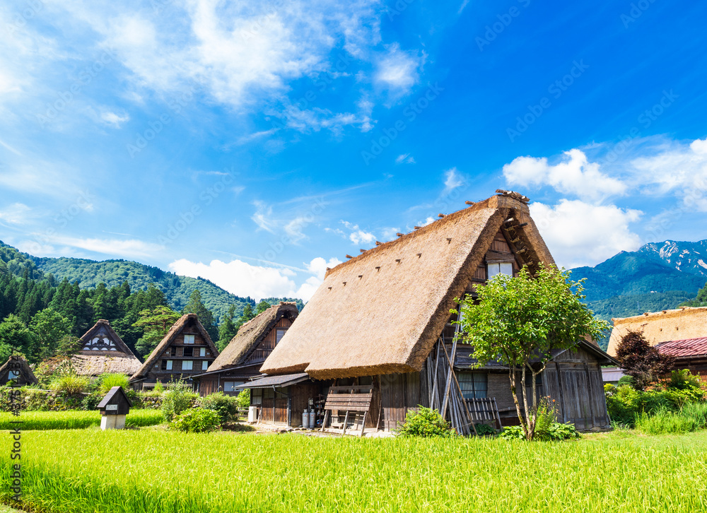 日本の原風景 夏の白川郷 日本の原風景 夏の白川郷