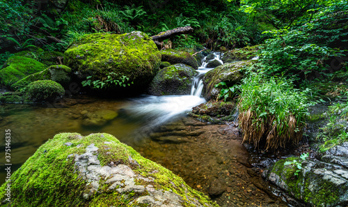 Small water fall green Scotland  Alva