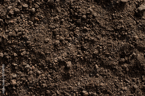 Soil texture background, Fertile soil for planting.