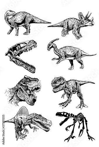 Vector collection of dinosaurs , graphical elements isolated on white