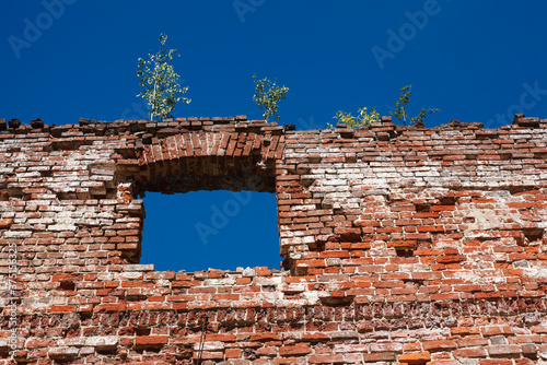 Ruined brick ancient wall with window hole and trees on top in sunny day