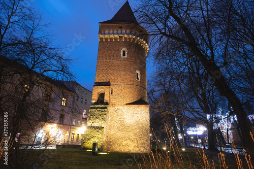 Pasamoniki Tower in Krakow