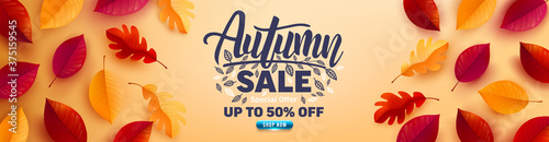 Autumn sale poster and banner template with autumn colorful leaves on yellow background.Greetings and presents for Autumn season.Promotion template for Autumn or fall concept