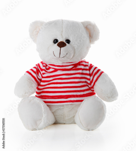 A teddy bear doll on a white background