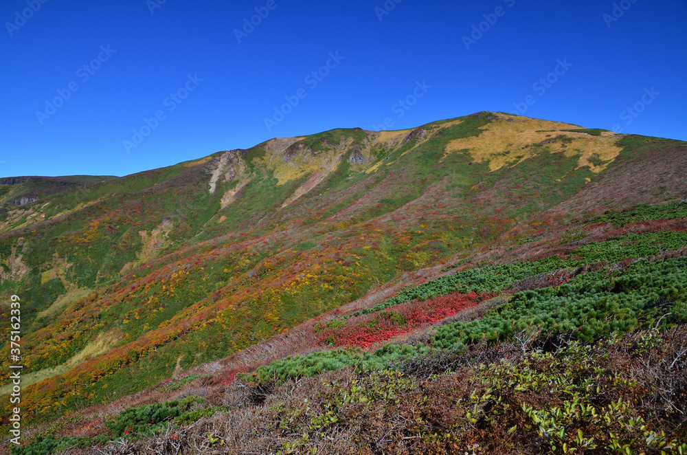Obraz premium 栗駒山の斜面の紅葉と快晴の青空