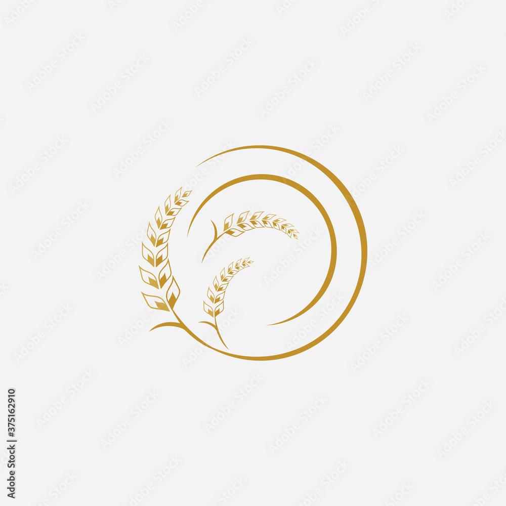 Obraz premium Agriculture wheat logo vector