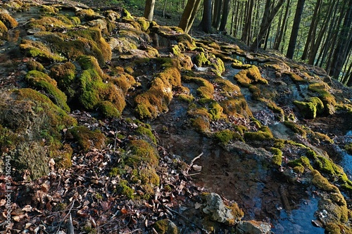 View of moss covered travertine shapes under mineral spring in forest.