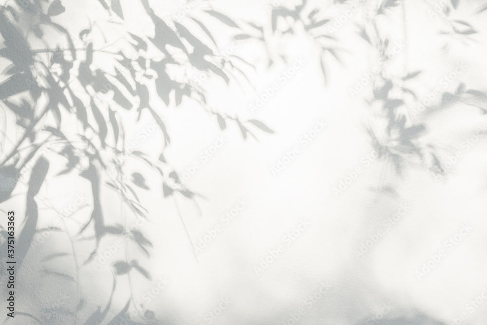 Leaves shadow and light background. Natural leaves tree branch shadows and sunlight dappled on white wall texture Leaves shadow and light background. Natural leaves tree branch shadows and sunlight dappled on white wall texture