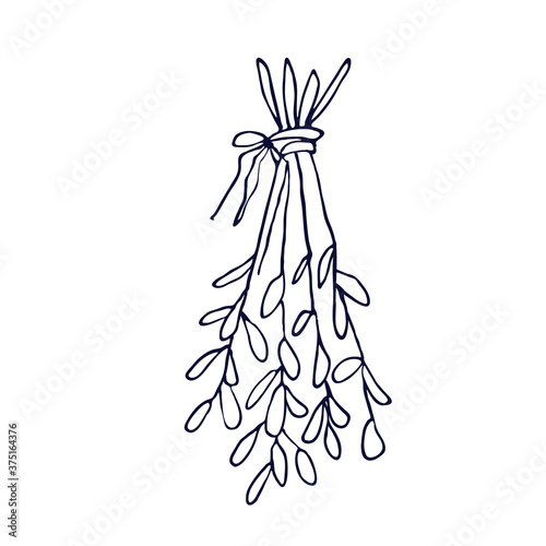 Dried herb. Hand drawn plant. Witchcraft attributes. Vector illustration in the Doodle style. Isolated object on a white background.