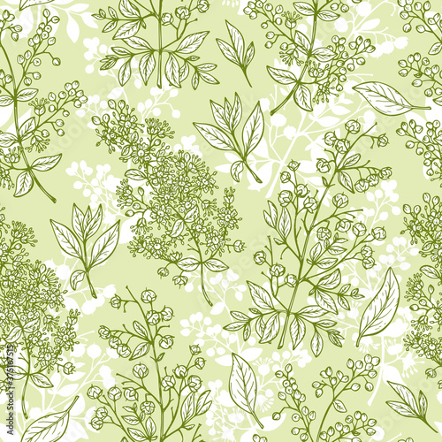 Medicinal plants Seamless pattern. Henna (Lawsonia inermis) plant: Branches, Flower buds, Flowers, Seeds, Fresh Leaves. Alternative medicine Floral background
