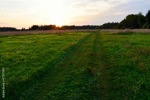 the road to the field is lit by the rays of the setting sun