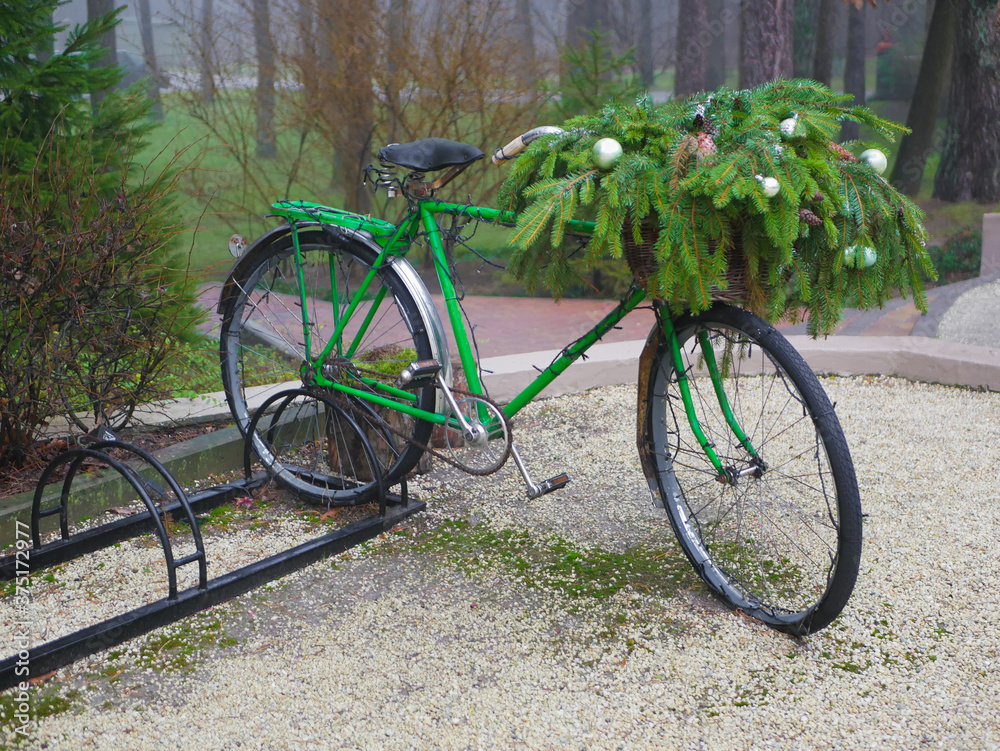 Fototapeta premium bicycle with fir needles and cones