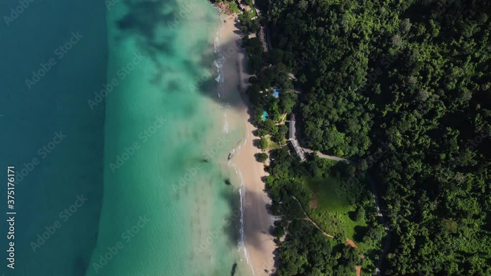 Jungle coastline with ocean aerial view Jungle coastline with ocean aerial view