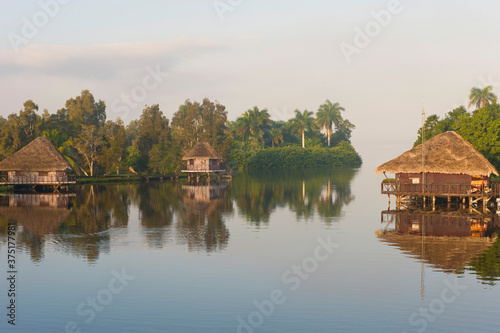 Canvas Print Laguna del Tesoro, Treasure Lagoon, Palm trees and wooden cabins, Zapata Peninsu