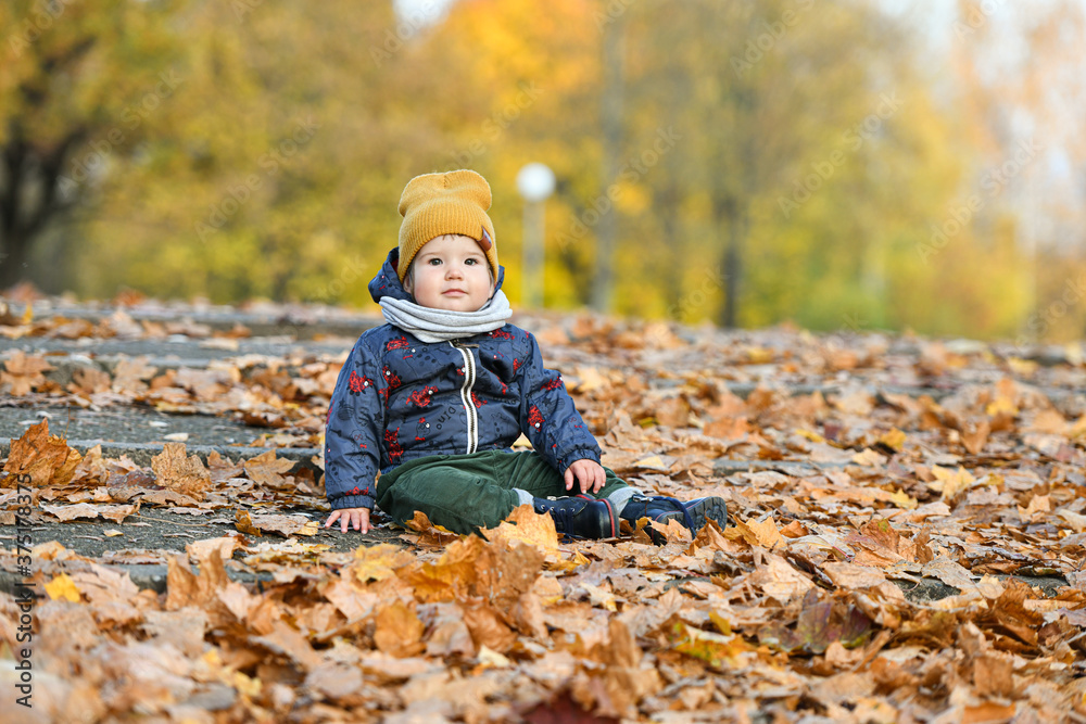 portrait of a small child against a background of yellow foliage portrait of a small child against a background of yellow foliage
