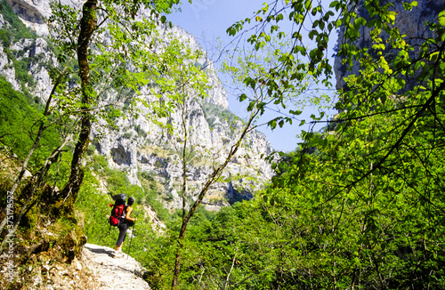 Desfiladero de Vikos.Parque nacional Vikos-Aoös. Monodendri. Epiro.Grecia photo