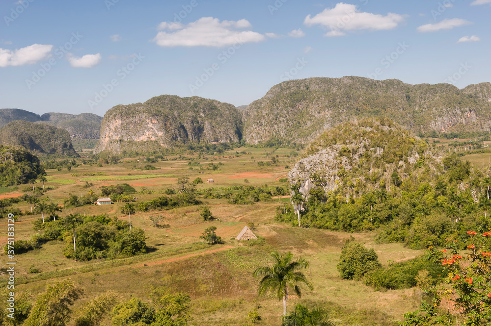 Fototapeta premium Vinales Valley, Tobacco plantation, Mogotes, Vinales, Pinar del Rio Province, Cuba, Central America, Unesco World Heritage Site.