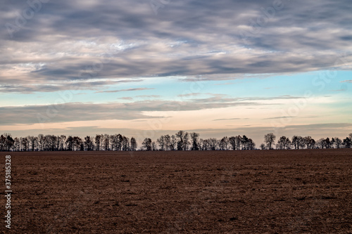 Gloomy autumn landscape with bare trees on the horizon and a harvested field