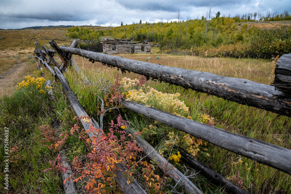 Scenic fall landscape with log fences in The Grand Tetons.