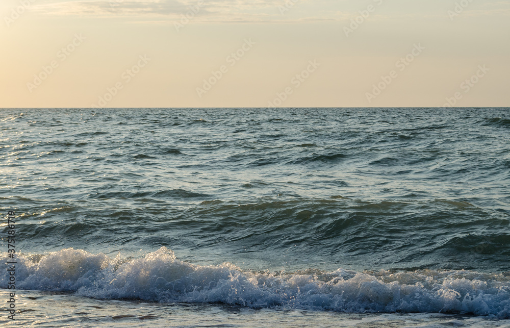 Waves on the beach. Curonian spit, Kaliningrad region, Russia
