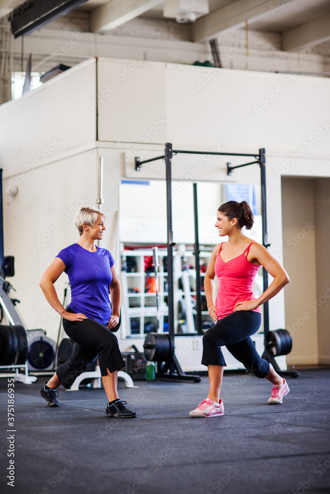 Women working out in the gym Women working out in the gym