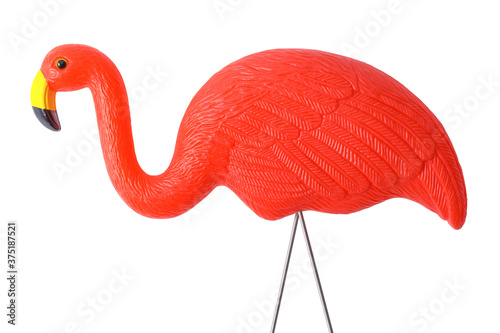 Yard Flamingo photo