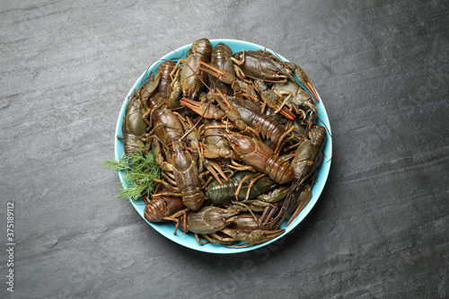 Fresh raw crayfishes with dill on black table, top view