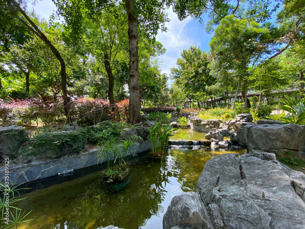 Chinese pond in the park