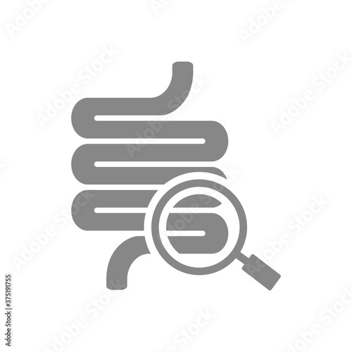 Intestine with magnifying glass grey icon. Organ research, analyzes symbol.