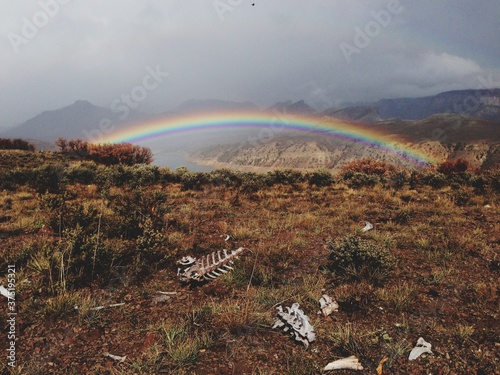 Rainbow Over Bones