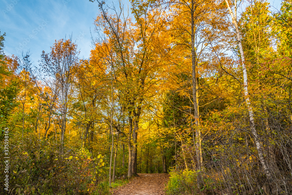 Fall time in park Fall time in park