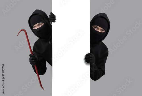 Obraz na plátně Burglar concept,Masked thief in balaclava with crowbar on gray background