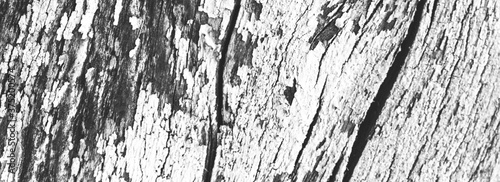 Black Cracked Wood. Painted Timber Material. Grey 