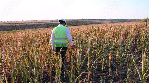 Farmer disappointed with poor corn harvest