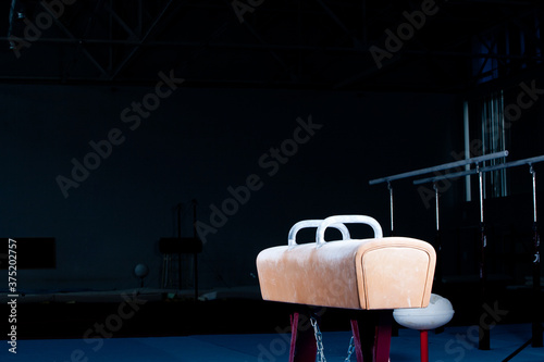 Принти на полотні Gymnastics Pommel Horse in gym hall