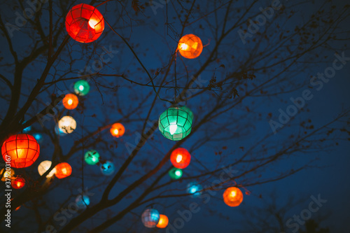 A tree decorated with colorful lanterns in December photo