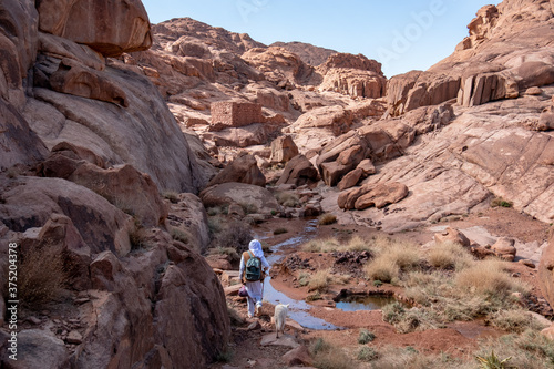 Local bedouin and his dog on a hiking trail to the summit of the Mount Sinai (Mount Horeb or Gabal Musa), Sinai, Egypt. Panoramic view over the trail on surrounding red mountains and huge boulders. photo
