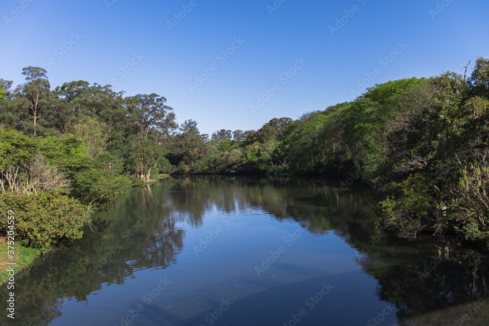 Brazilian River