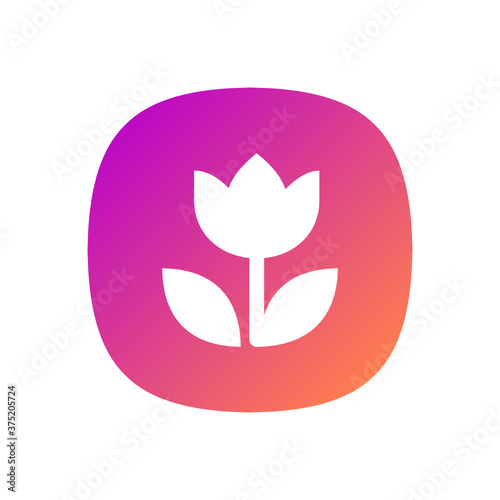 Flower - App