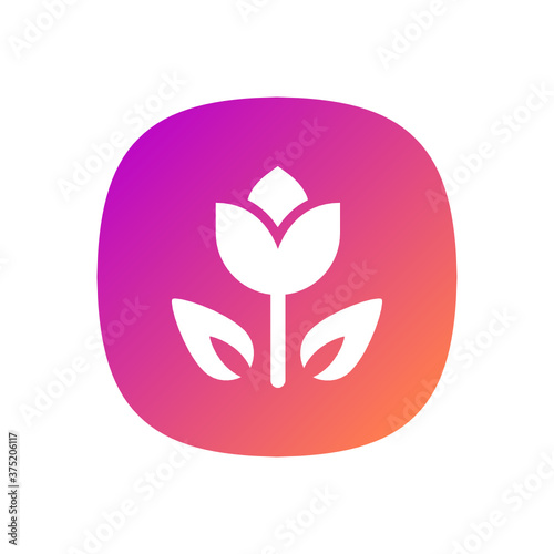 Flower - App