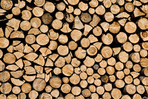 Firewood