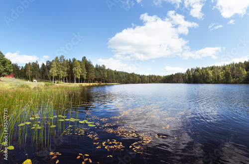 Scandinavian Lake & Forest photo
