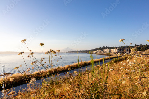 Wild flowers and the Puget Sound plus Mount Rainier