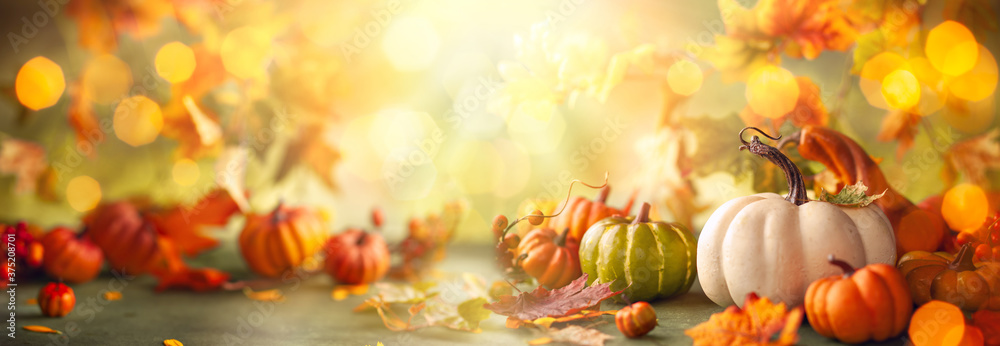 Festive autumn decor from pumpkins, berries and leaves. Concept of Thanksgiving day or Halloween with copy space - obrazy, fototapety, plakaty 
