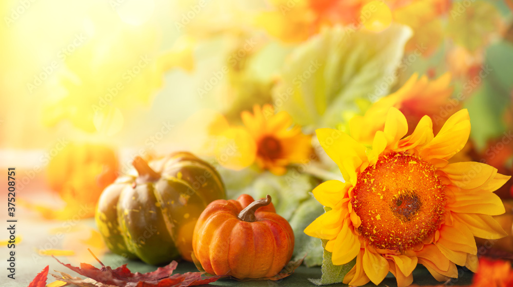 Autumn festive background with sunflowers, pumpkins and fall leaves. Concept of Thanksgiving day or Halloween with copy space - obrazy, fototapety, plakaty 