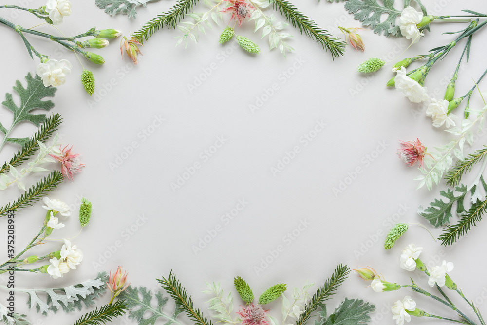 White and coral flowers  and silver-green leaves  on pastel grey background. Flowers composition with copy space, flat lay.