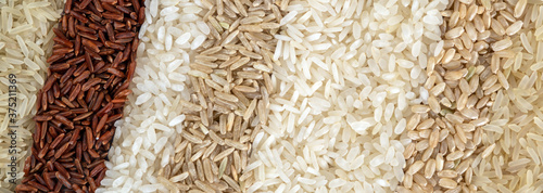 Obraz na plátně Panoramic banner with eight different varieties of rice
